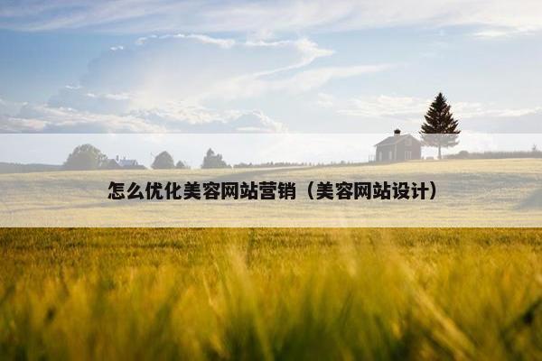 怎么优化美容网站营销（美容网站设计）