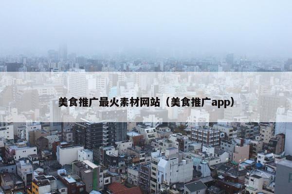 美食推广最火素材网站（美食推广app）
