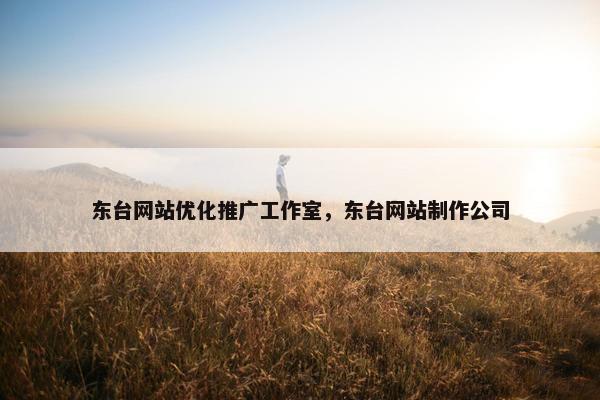 东台网站优化推广工作室，东台网站制作公司