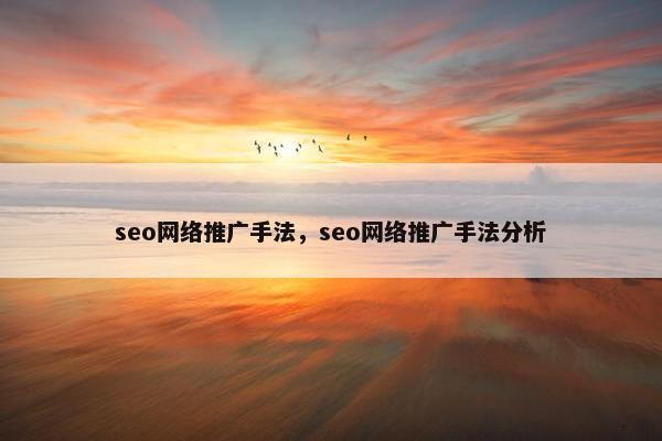 seo网络推广手法，seo网络推广手法分析