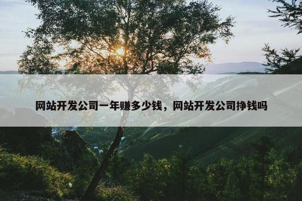 网站开发公司一年赚多少钱，网站开发公司挣钱吗