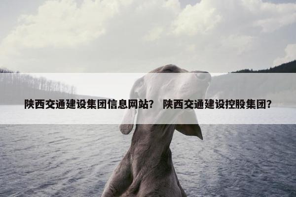 陕西交通建设集团信息网站？ 陕西交通建设控股集团？