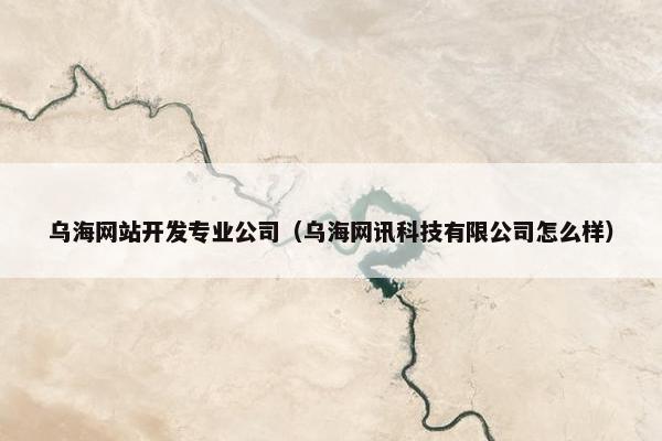 乌海网站开发专业公司（乌海网讯科技有限公司怎么样）
