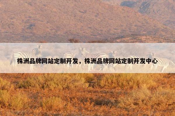 株洲品牌网站定制开发，株洲品牌网站定制开发中心