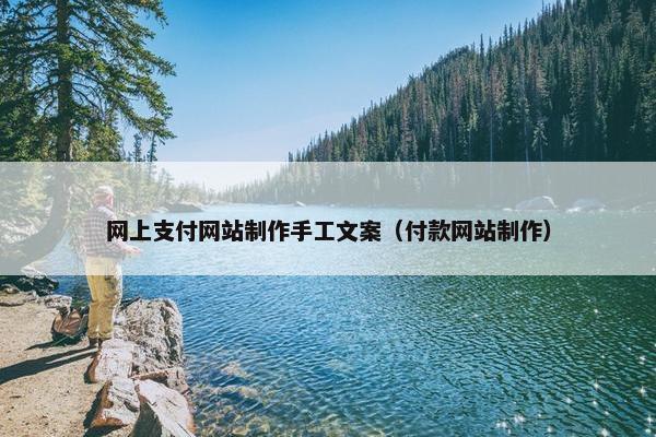 网上支付网站制作手工文案（付款网站制作）