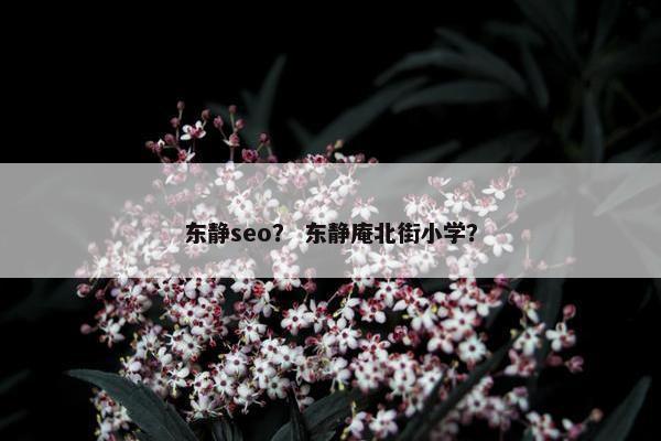 东静seo？ 东静庵北街小学？