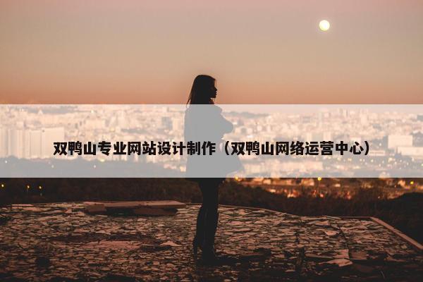 双鸭山专业网站设计制作（双鸭山网络运营中心）