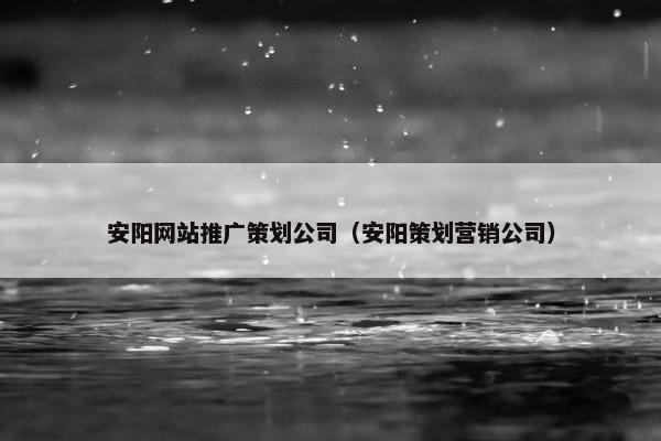 安阳网站推广策划公司（安阳策划营销公司）