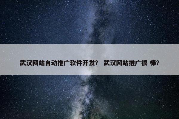 武汉网站自动推广软件开发？ 武汉网站推广很 棒？