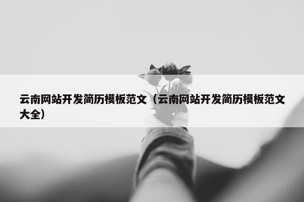 云南网站开发简历模板范文（云南网站开发简历模板范文大全）