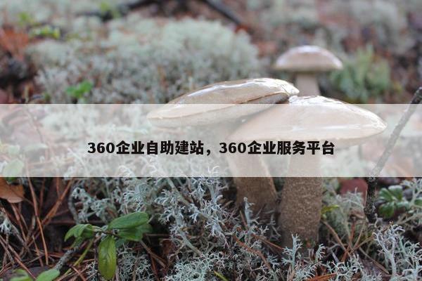 360企业自助建站，360企业服务平台
