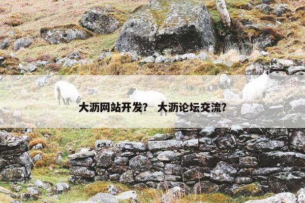 大沥网站开发？ 大沥论坛交流？