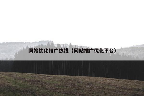 网站优化推广热线（网站推广优化平台）