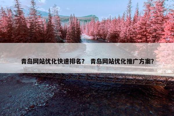 青岛网站优化快速排名？ 青岛网站优化推广方案？