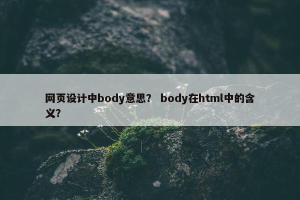 网页设计中body意思？ body在html中的含义？