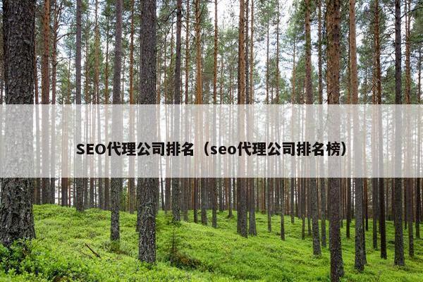 SEO代理公司排名（seo代理公司排名榜）