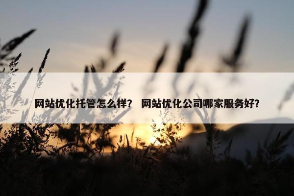 网站优化托管怎么样？ 网站优化公司哪家服务好？