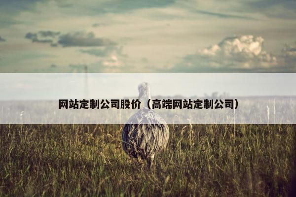 网站定制公司股价（高端网站定制公司）