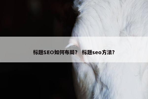标题SEO如何布局？ 标题seo方法？