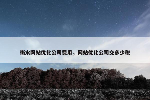衡水网站优化公司费用，网站优化公司交多少税