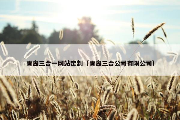 青岛三合一网站定制（青岛三合公司有限公司）