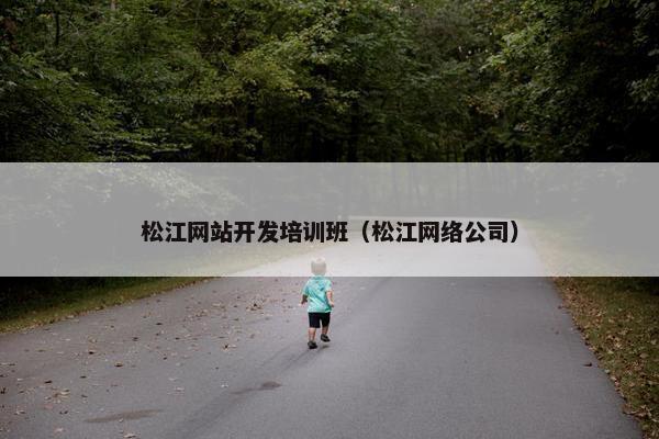 松江网站开发培训班（松江网络公司）