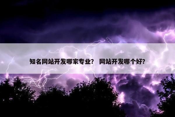 知名网站开发哪家专业？ 网站开发哪个好？