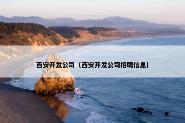 西安开发公司（西安开发公司招聘信息）