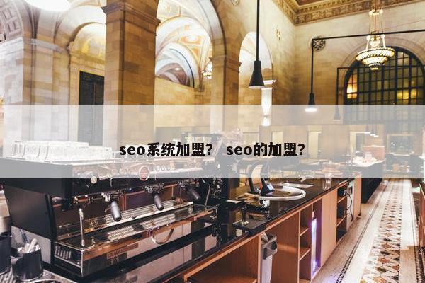 seo系统加盟？ seo的加盟？