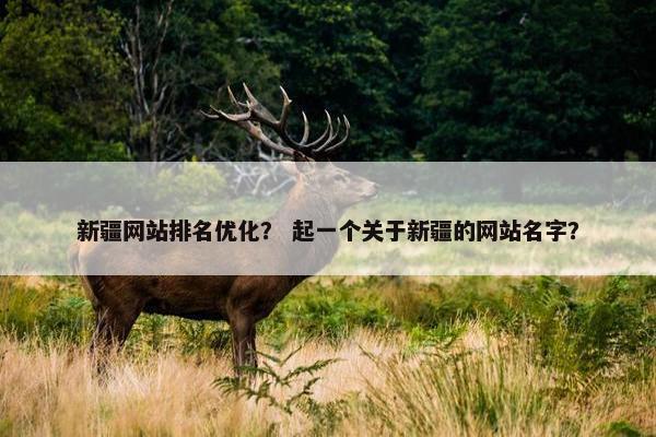 新疆网站排名优化？ 起一个关于新疆的网站名字？