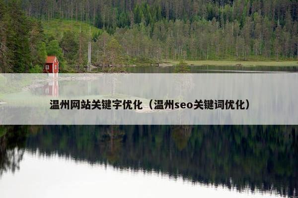 温州网站关键字优化（温州seo关键词优化）