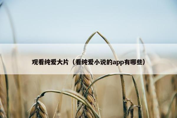 观看纯爱大片（看纯爱小说的app有哪些）