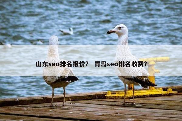 山东seo排名报价？ 青岛seo排名收费？