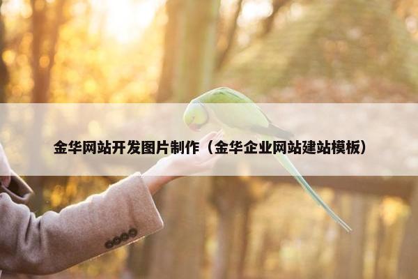 金华网站开发图片制作（金华企业网站建站模板）