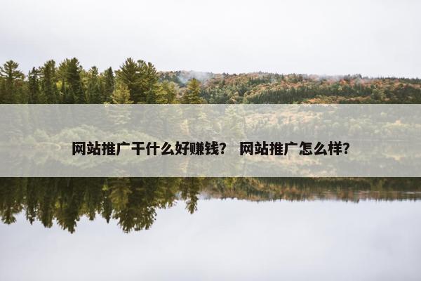 网站推广干什么好赚钱？ 网站推广怎么样？