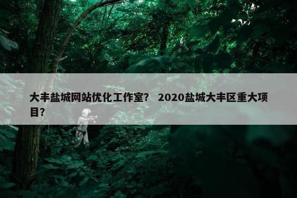 大丰盐城网站优化工作室？ 2020盐城大丰区重大项目？
