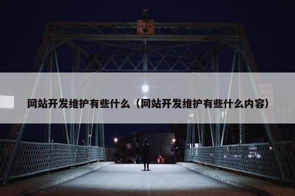 网站开发维护有些什么（网站开发维护有些什么内容）