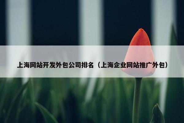 上海网站开发外包公司排名（上海企业网站推广外包）