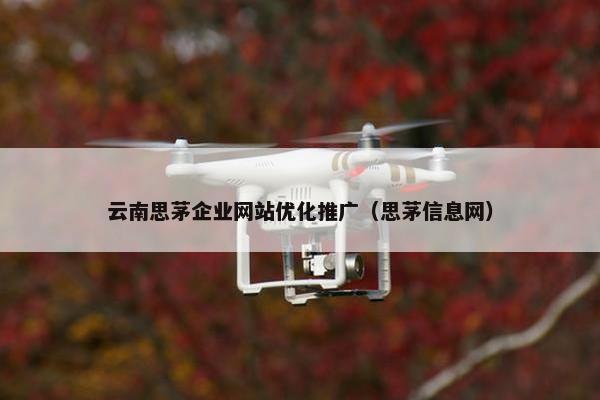 云南思茅企业网站优化推广（思茅信息网）
