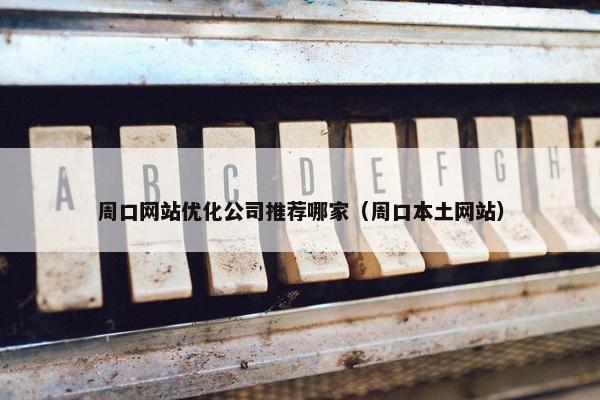 周口网站优化公司推荐哪家（周口本土网站）
