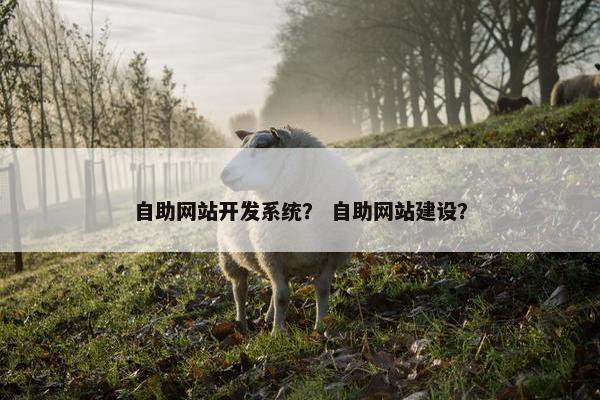 自助网站开发系统？ 自助网站建设？