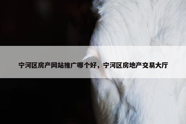 宁河区房产网站推广哪个好，宁河区房地产交易大厅