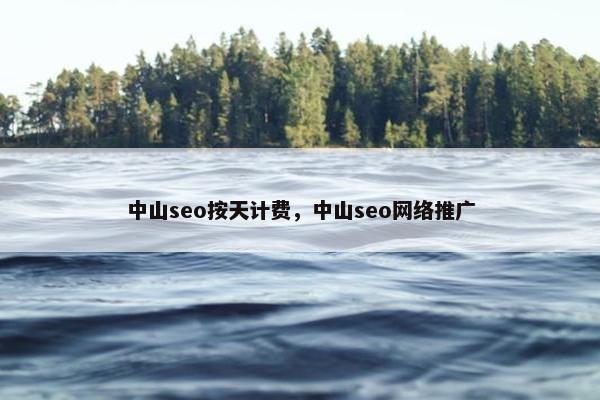中山seo按天计费，中山seo网络推广