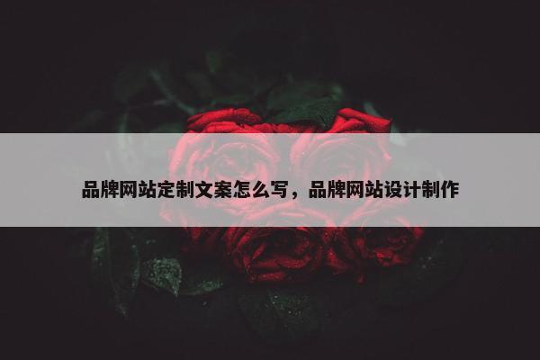 品牌网站定制文案怎么写，品牌网站设计制作