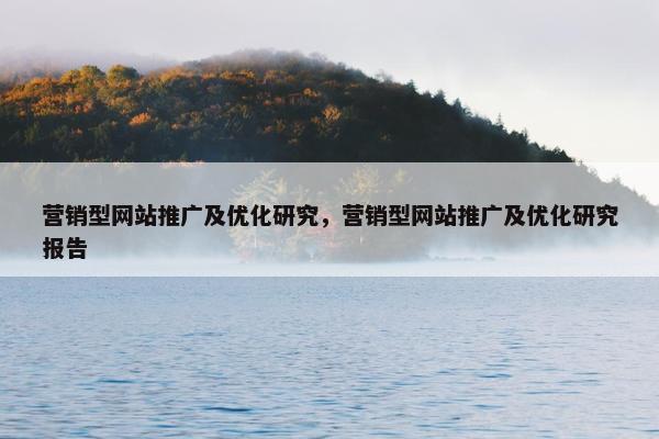 营销型网站推广及优化研究，营销型网站推广及优化研究报告