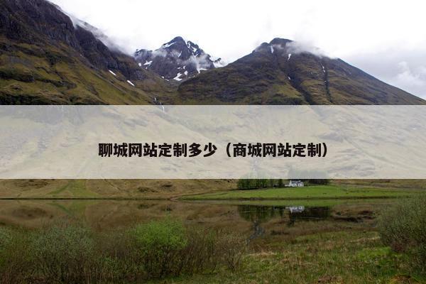 聊城网站定制多少（商城网站定制）
