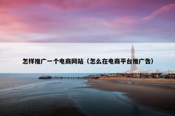 怎样推广一个电商网站（怎么在电商平台推广告）