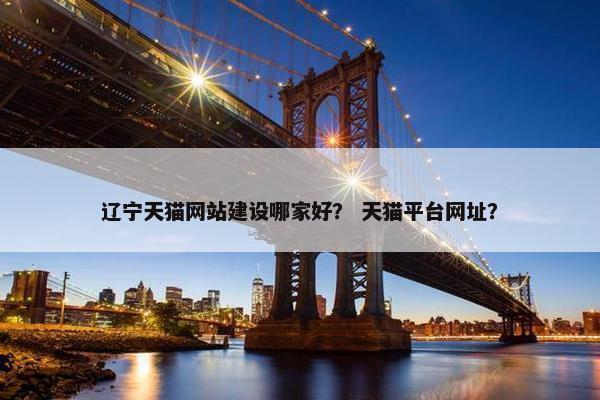 辽宁天猫网站建设哪家好？ 天猫平台网址？