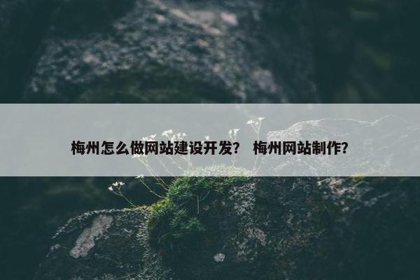 梅州怎么做网站建设开发？ 梅州网站制作？