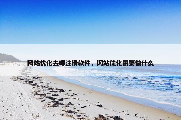网站优化去哪注册软件，网站优化需要做什么